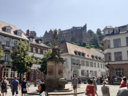 heidelberg_31