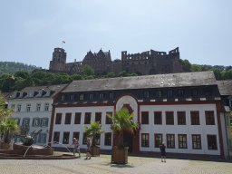 heidelberg_32