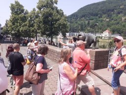 heidelberg_51