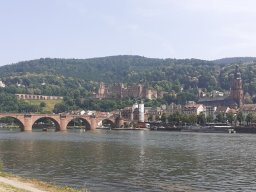 heidelberg_81